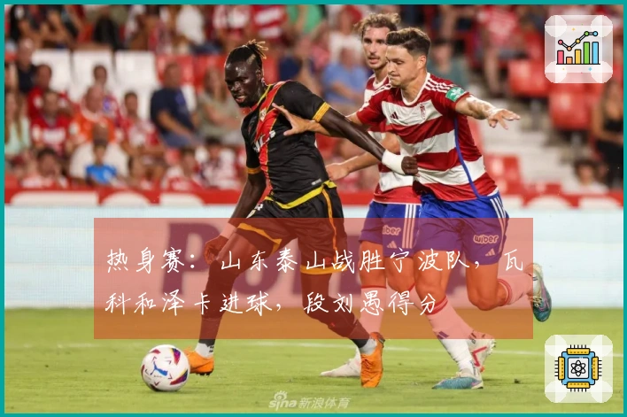 热身赛：山东泰山战胜宁波队，瓦科和泽卡进球，段刘愚得分